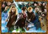 Harry Potter et les sorciers - 1000 mcx