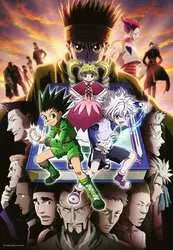 Hunter X Hunter - 300 pcs