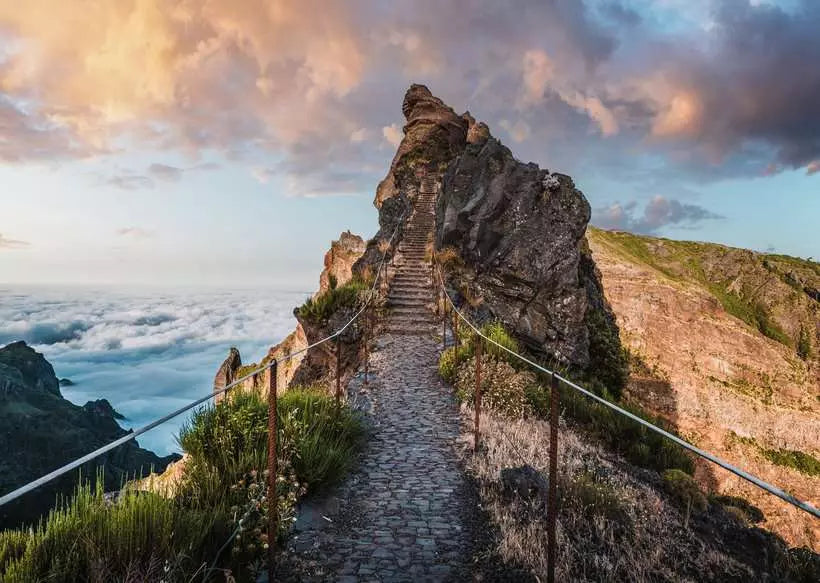 Pathway to Heaven - 1000 mcx
