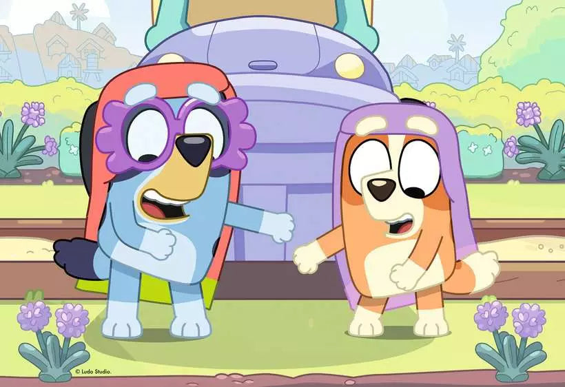 Moments avec grand-mère - Bluey - 35 mcx