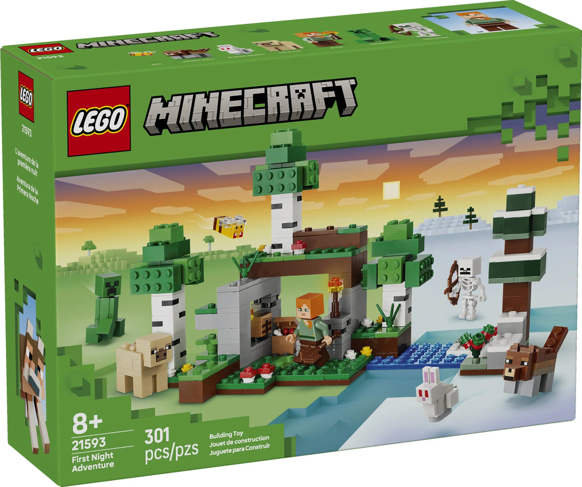 First Night Adventure - Minecraft