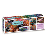 Loopdedoo - Spin Bracelets Kit