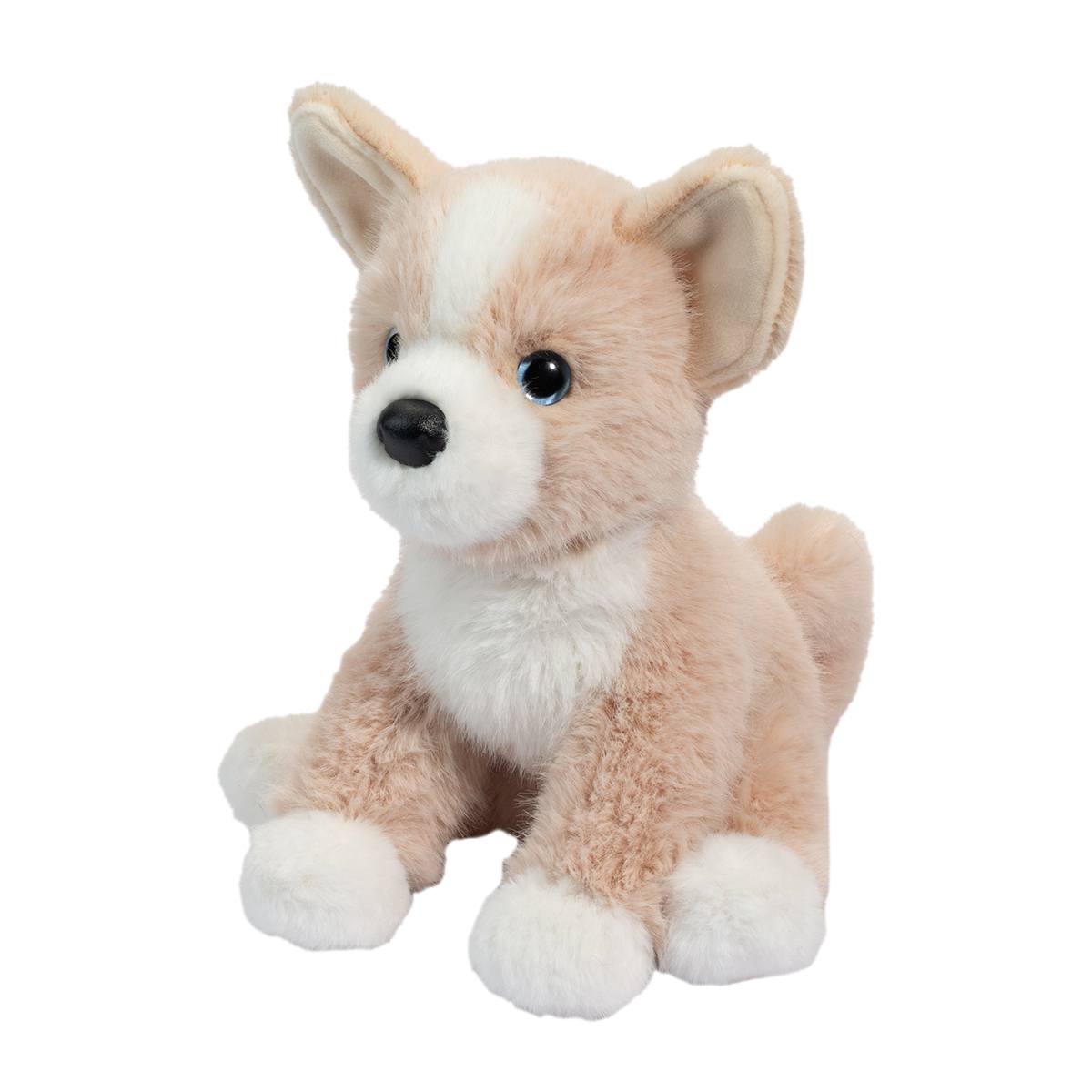 Pookie le mini Pomsky