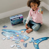 Requin - 53 mcx Plancher