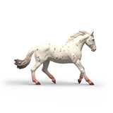 Knabstrupper Mare