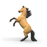Étalon Mustang