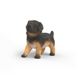 German Shepherd Puppy