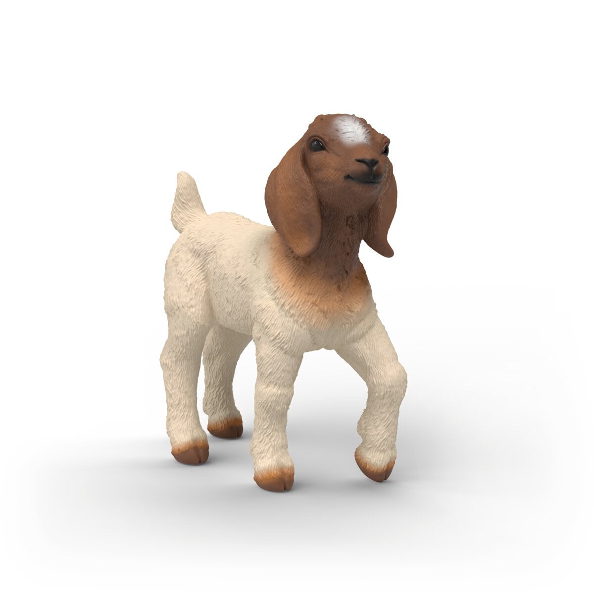 Chevreau Boer