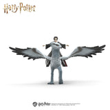 Harry Potter sur Buck