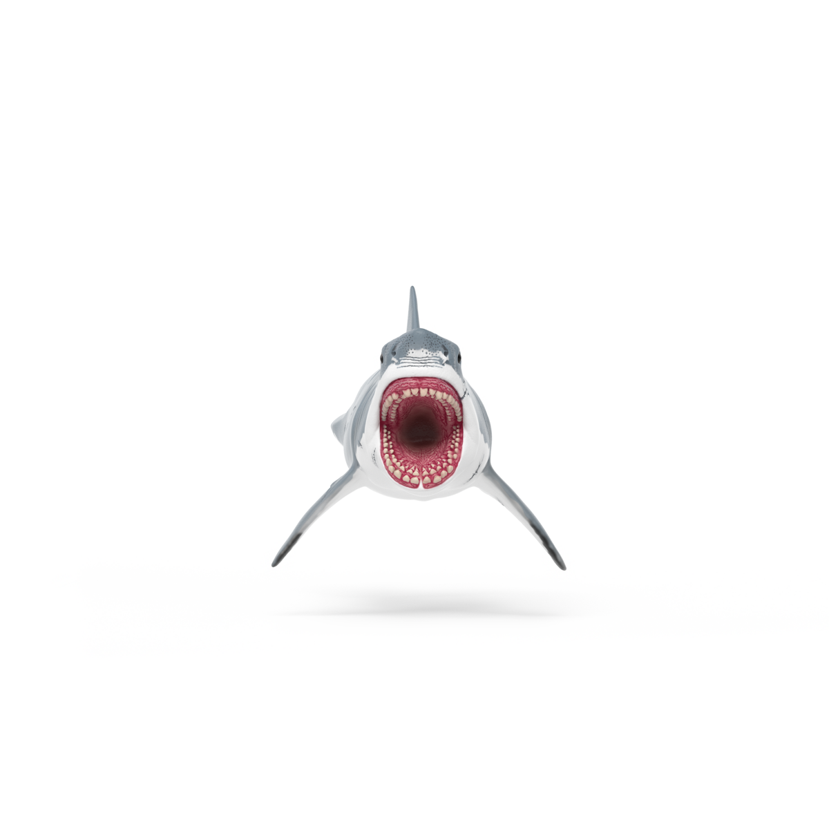 Megalodon