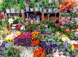 Flower Market in France - 500 mcx