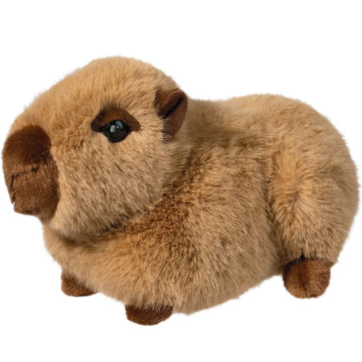 Chattie Capybara
