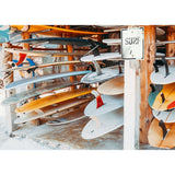 Planches de surf - 1000 mcx