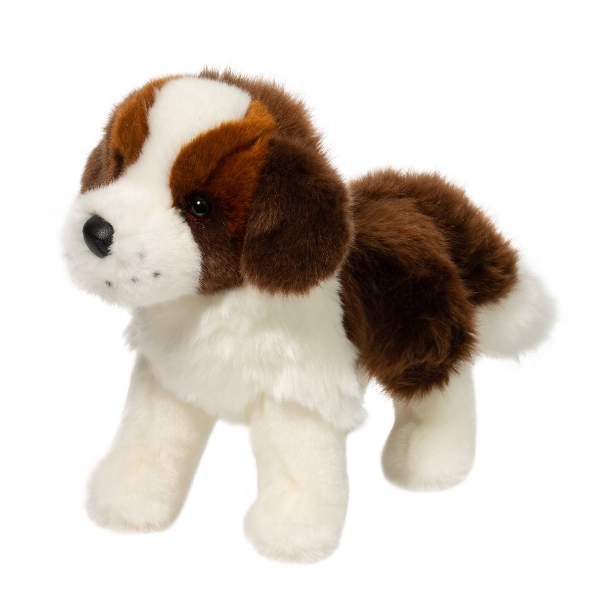 Brutus the Saint-Bernard