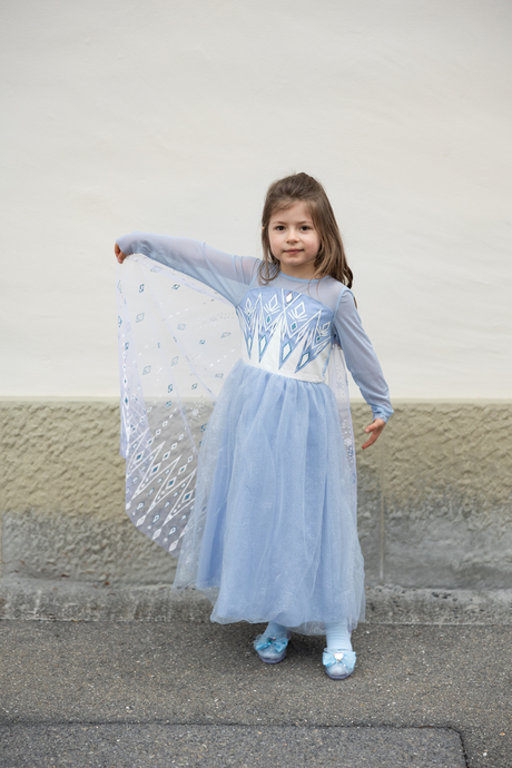 Once Upon a Princess Winter Dress