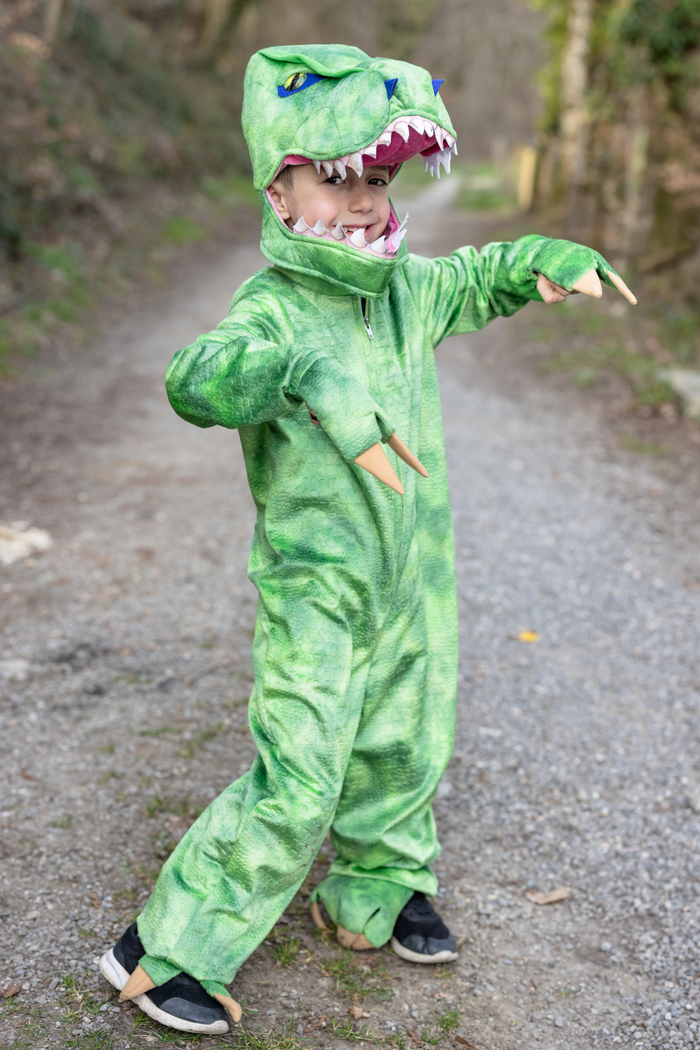 A Land Before Mine Deluxe T-Rex - One Piece Costume