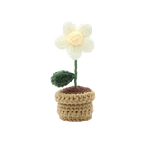 DIY Crochet Set - Potted Daisy (Bil)