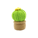 DIY Crochet Set - Small Cactus (Bil)