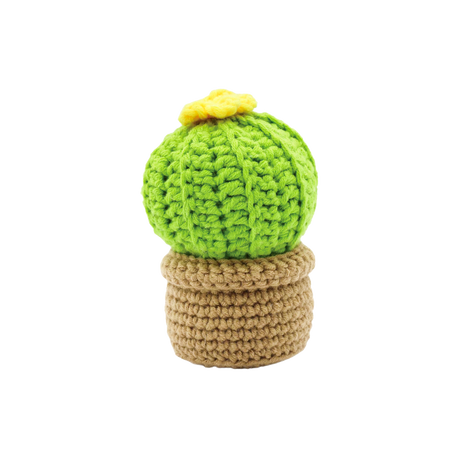 DIY Crochet Set - Small Cactus (Bil)