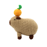 DIY Crochet Set - Chill Capybara (Bil)