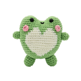 DIY Crochet Set - Miss Froggy (Bil)