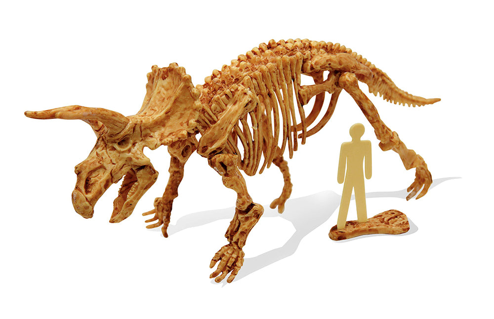 Buki Dino Kit - Triceratops