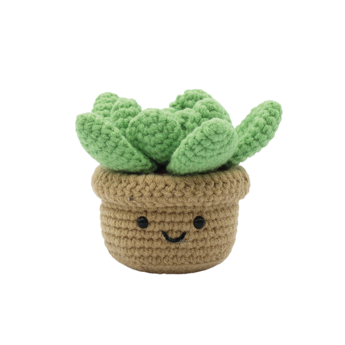 Kit DIY crochet - Succulente (Bil)