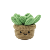 Kit DIY crochet - Succulente (Bil)