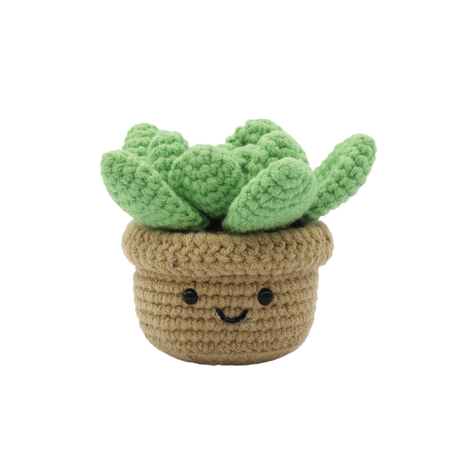 Kit DIY crochet - Succulente (Bil)
