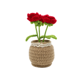 Kit DIY crochet - Roses en pot (Bil)