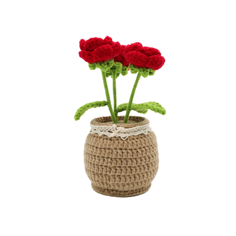 Kit DIY crochet - Roses en pot (Bil)