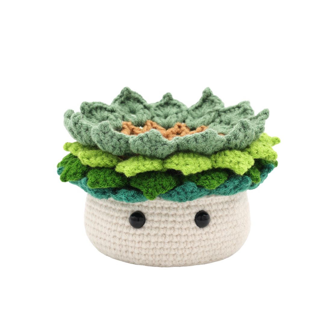 Kit DIY crochet - Ravissante succulente (Bil)