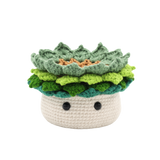 Kit DIY crochet - Ravissante succulente (Bil)