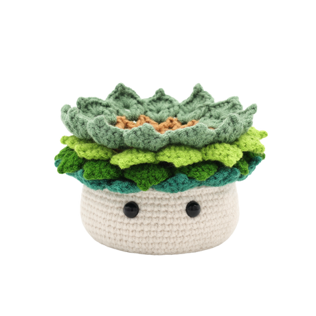 Kit DIY crochet - Ravissante succulente (Bil)