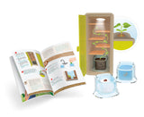 Buki - Petites pousses