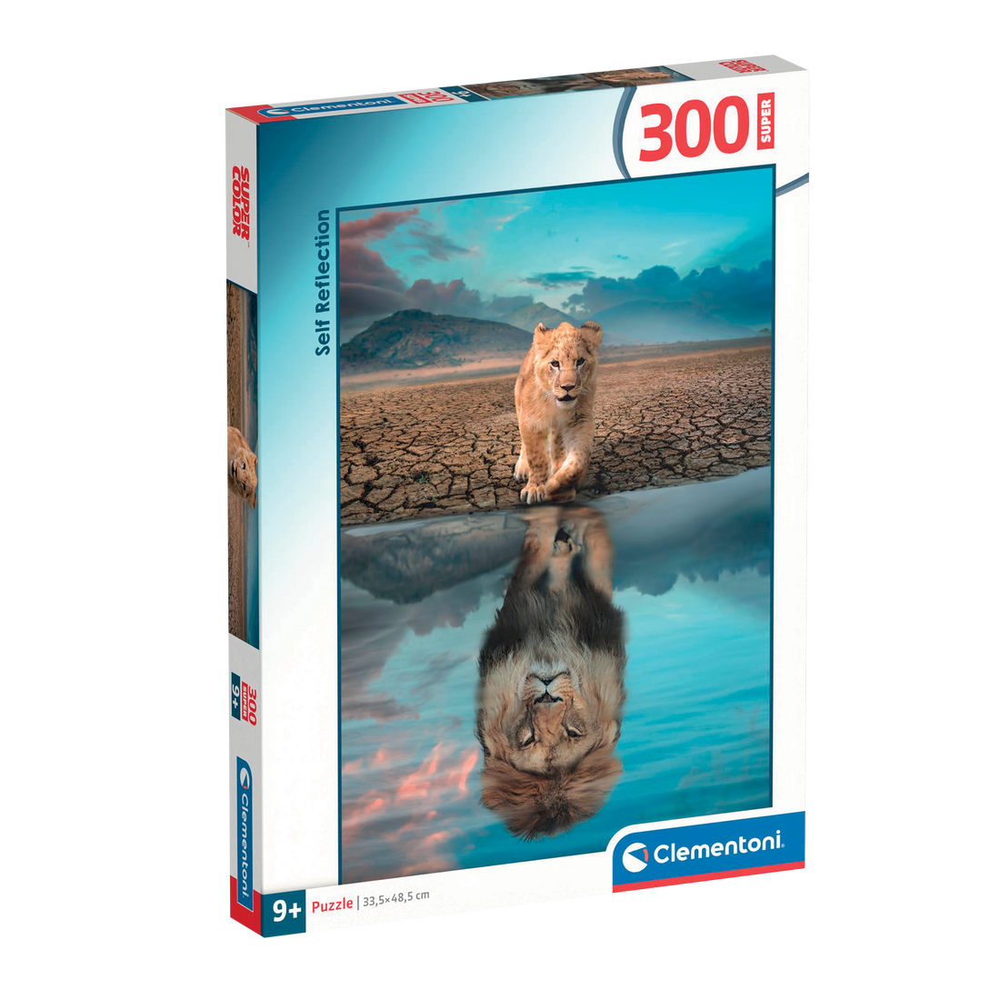 Réflexion - 300 mcx