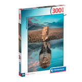 Réflexion - 300 mcx
