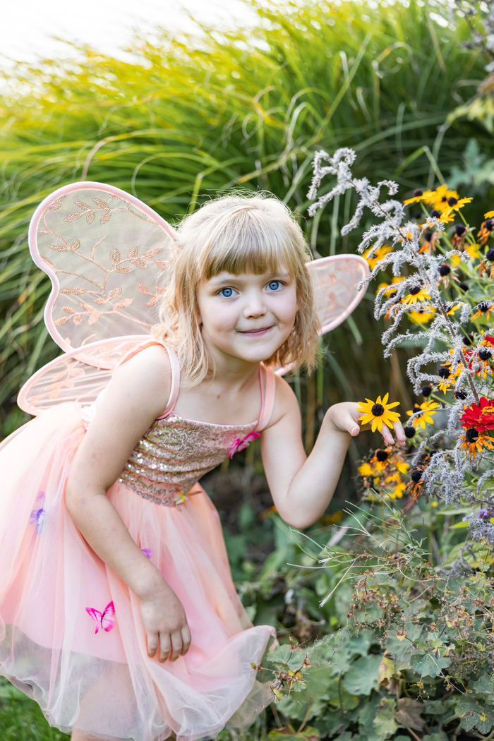 Butterfly Bliss Wings - Peach