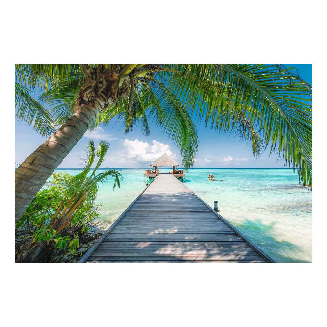 Plage de rêves aux Maldives - 4000 mcx