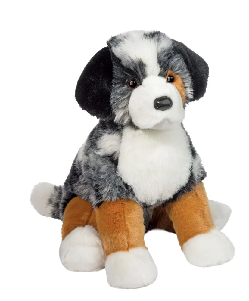 Aspen the Australian Shepherd