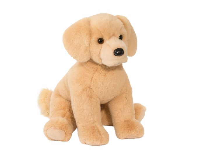 Denali le Golden Retriever