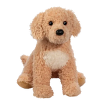 Noodle le Goldendoodle géant