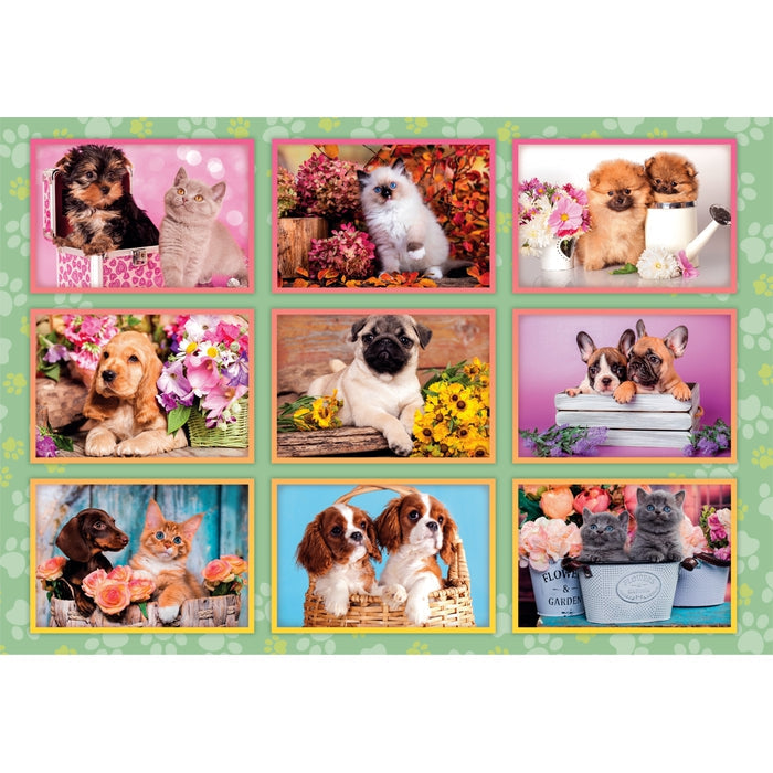 Collage de chiots - 180 mcx