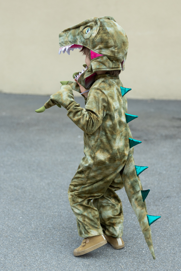 A Land Before Mine Deluxe Raptor - One Piece Costume