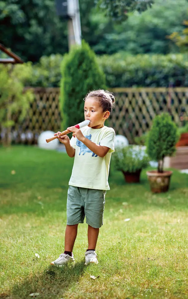 Mini Musician's Starter Recorder