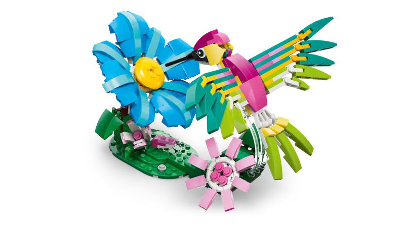 Les animaux sauvages : le colibri coloré - Creator 3-en-1