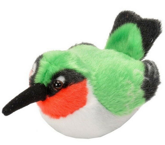 Ruby-throated Hummingbird
