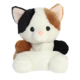 Palm Pals - Peebs le chat calico - 5 po
