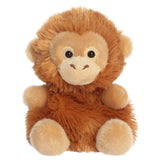 Palm Pals - Karen l'orang-outan - 5 po