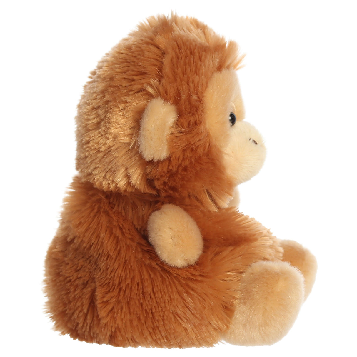 Palm Pals - Karen l'orang-outan - 5 po